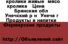 кролики живые, мясо кролика › Цена ­ 300 - Брянская обл., Унечский р-н, Унеча г. Продукты и напитки » Фермерские продукты   